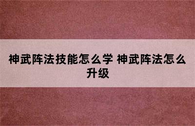 神武阵法技能怎么学 神武阵法怎么升级